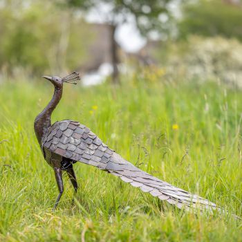 Metalen tuinbeeld van een pauw, gemaakt door een Afrikaanse kunstenaar. 